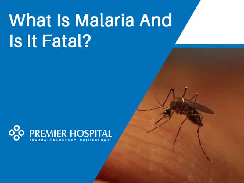 What Is Malaria . Is It Fatal