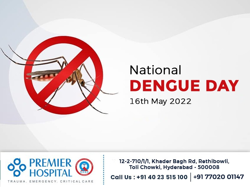 National Dengue Day 2022